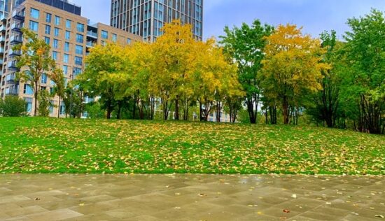 User submitted image of East Village, E20