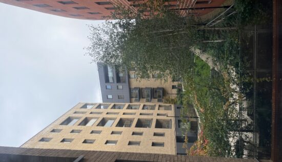 User submitted image of Fizzy Walthamstow, E17